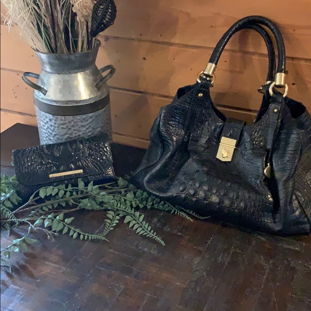 Brahmin black
